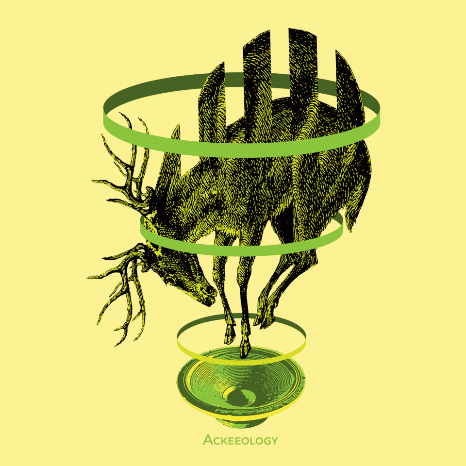 Deer Trap: Ackeeology
