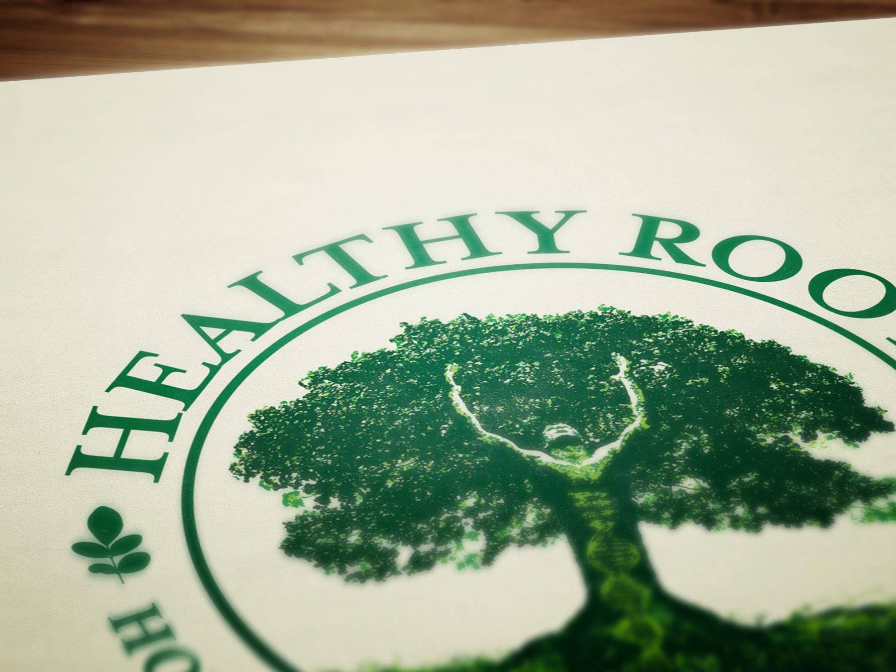 Healthy Roots Holistic Practitioners logo design and branding